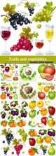 Fruits-and-vegetables,-berries-vector.jpg