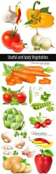 Useful-and-tasty-Vegetables.jpg