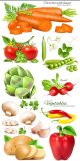 Useful-and-tasty-Vegetables1.jpg
