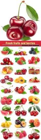 Fresh-fruits-and-berries.jpg