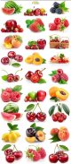 Fresh-fruits-and-berries1.jpg