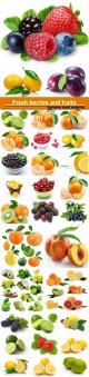 Fresh-berries-and-fruits.jpg