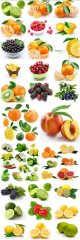 Fresh-berries-and-fruits1.jpg