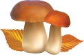 Mushroom-06.jpg