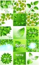 Spring-illustration-with-bunch-of-green-leaves1.jpg