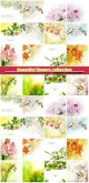 Beautiful-flowers-collection.jpg