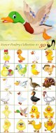 Vector-Poultry-Collection.jpg
