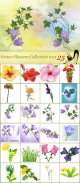 Vector-Flowers-Collection.jpg