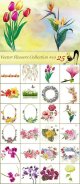 Flowers-Collection.jpg