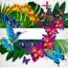 Векторные фоны с тропическими цветами и птицами