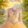 Женский шаблон - Бальное платье золотое