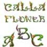 Английский алфавит букв с цветами Каллы