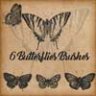 Бабочки - 7