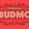 Шрифт - Budmo