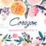Corazon - акварельный цветочный набор