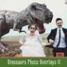 Пакет с наложением фотографий динозавров