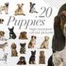 20 щенков - вырезанные картинки