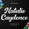 Шрифт - Natalie Caydence