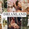 Dreamland Mobile & Desktop Lightroom Presets