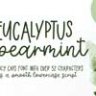Шрифт - Eucalyptus Spearmint