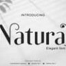 Шрифт - Natural