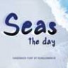 Шрифт - Seas the Day