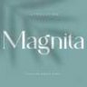 Шрифт - Magnita