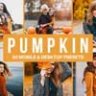 50 Pumpkin Lightroom Presets & LUTs