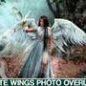 Реалистичные белые крылья накладки Photoshop