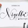 Шрифт - Nigella