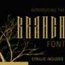 Шрифт - Branch