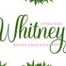 Шрифт - Whitney