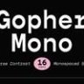 Шрифт - Gopher Mono