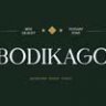 Шрифт - Bodikago
