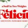 Шрифт - Felicity