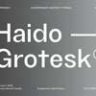 Шрифт - TG Haido Grotesk