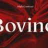 Шрифт - Bovino
