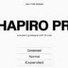 Шрифт - Shapiro Pro