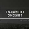 Шрифт - Brandon Text Condensed