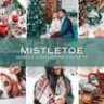 5 Mistletoe Lightroom Presets