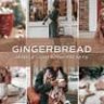 5 Gingerbread Lightroom Presets