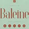 Шрифт - Baleine