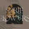 Шрифт - Flowers