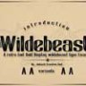 Шрифт - Wildebeast